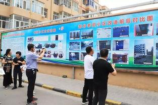 爆料巴彦淖尔最新消息,揭秘当地热点事件背后的真相